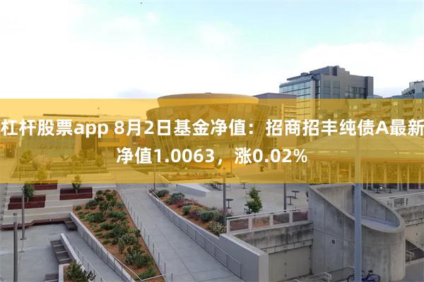 杠杆股票app 8月2日基金净值：招商招丰纯债A最新净值1.0063，涨0.02%