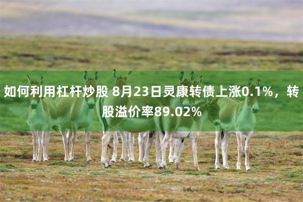 如何利用杠杆炒股 8月23日灵康转债上涨0.1%，转股溢价率89.02%