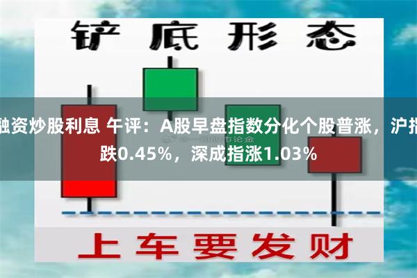 融资炒股利息 午评：A股早盘指数分化个股普涨，沪指跌0.45%，深成指涨1.03%