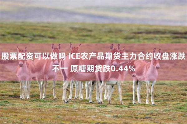 股票配资可以做吗 ICE农产品期货主力合约收盘涨跌不一 原糖期货跌0.44%