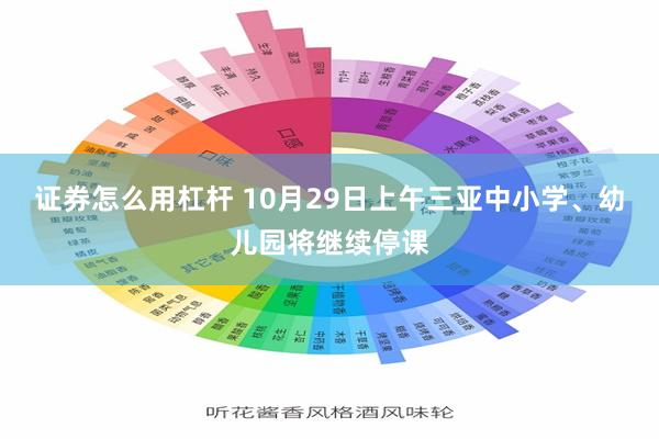 证券怎么用杠杆 10月29日上午三亚中小学、幼儿园将继续停课