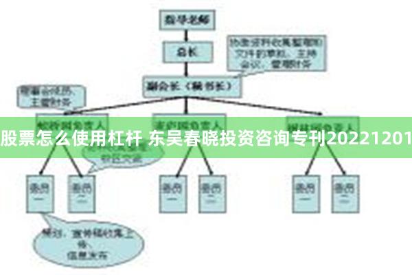 股票怎么使用杠杆 东吴春晓投资咨询专刊20221201