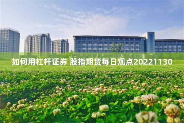 如何用杠杆证券 股指期货每日观点20221130