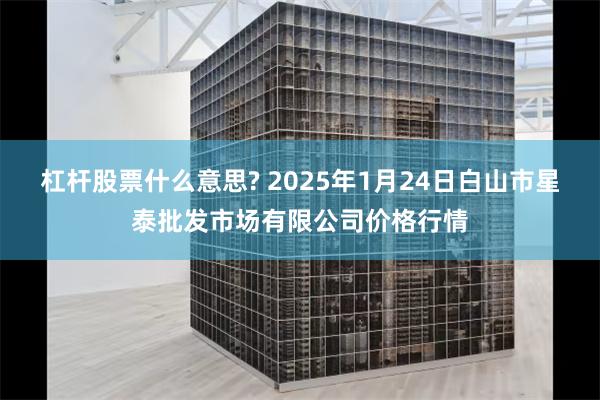 杠杆股票什么意思? 2025年1月24日白山市星泰批发市场有限公司价格行情