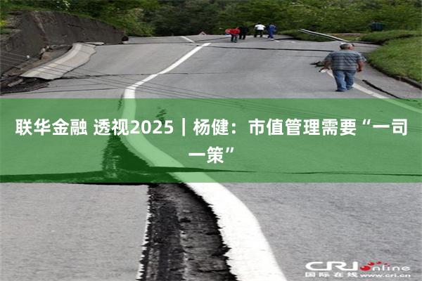 联华金融 透视2025｜杨健：市值管理需要“一司一策”