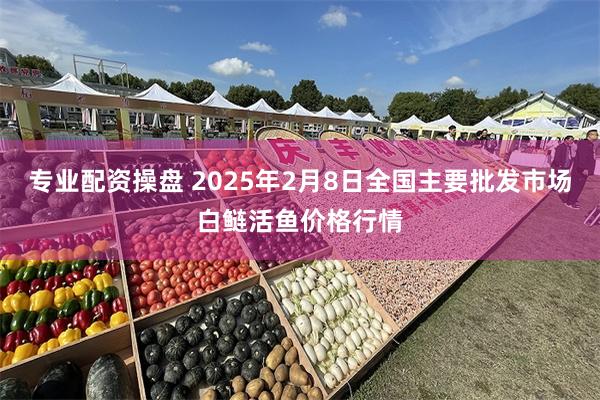 专业配资操盘 2025年2月8日全国主要批发市场白鲢活鱼价格行情