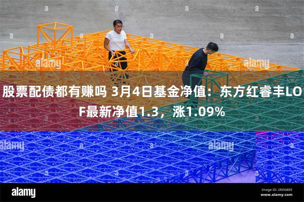 股票配债都有赚吗 3月4日基金净值：东方红睿丰LOF最新净值1.3，涨1.09%